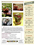 Strawberry Info Sheet